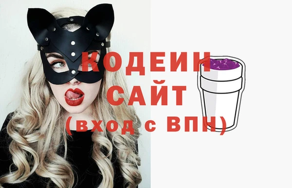 гашик Абаза