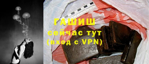 гашик Абаза