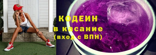 гашик Абаза