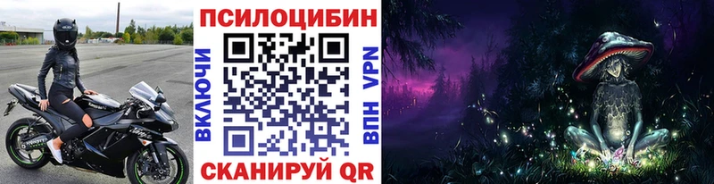 blacksprut онион  Ленинградская  Галлюциногенные грибы Psilocybine cubensis 