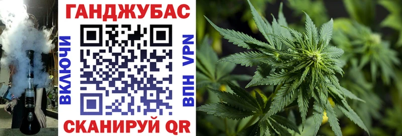 Каннабис план закладки Ленинградская